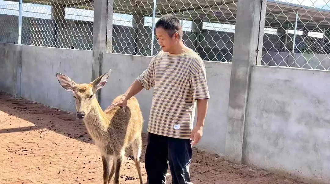 2025开户送体验金